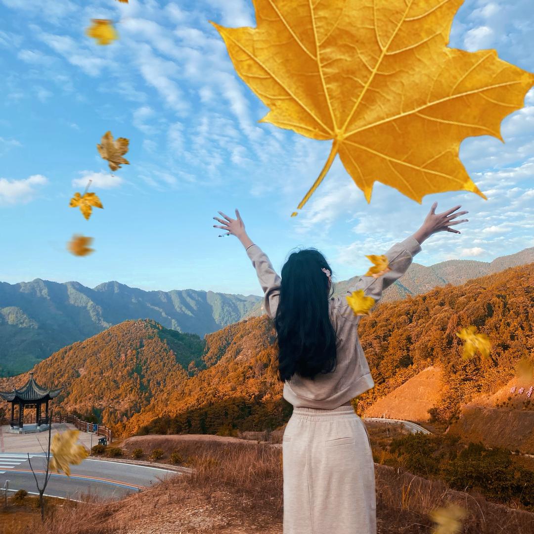 许你纵南淮