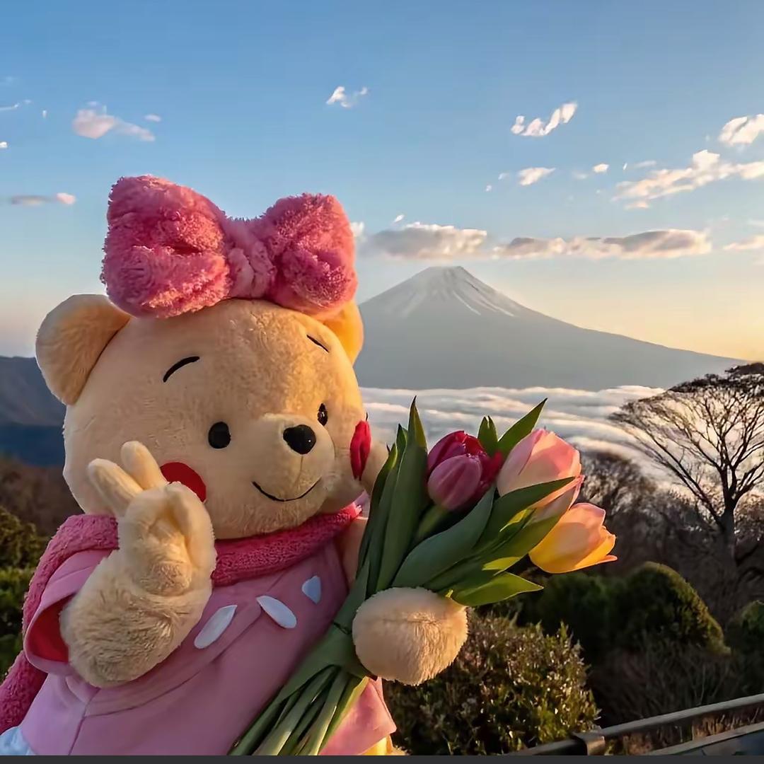 泡芙小猫
