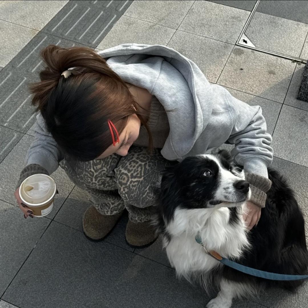 小圓