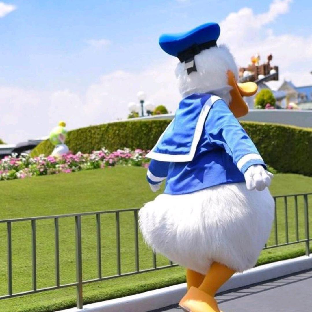 肖不丢儿