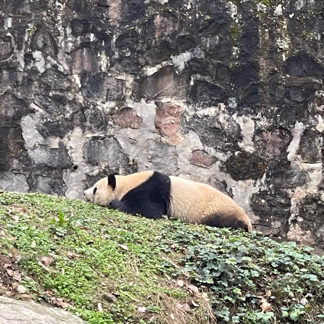 什么