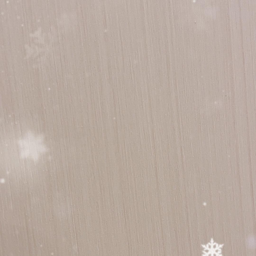 李琳登记员(助理)