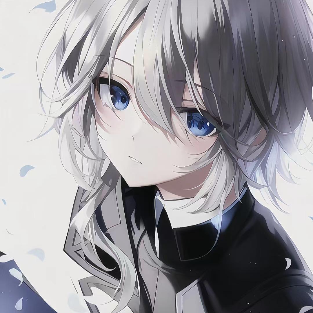 面条是只布偶猫