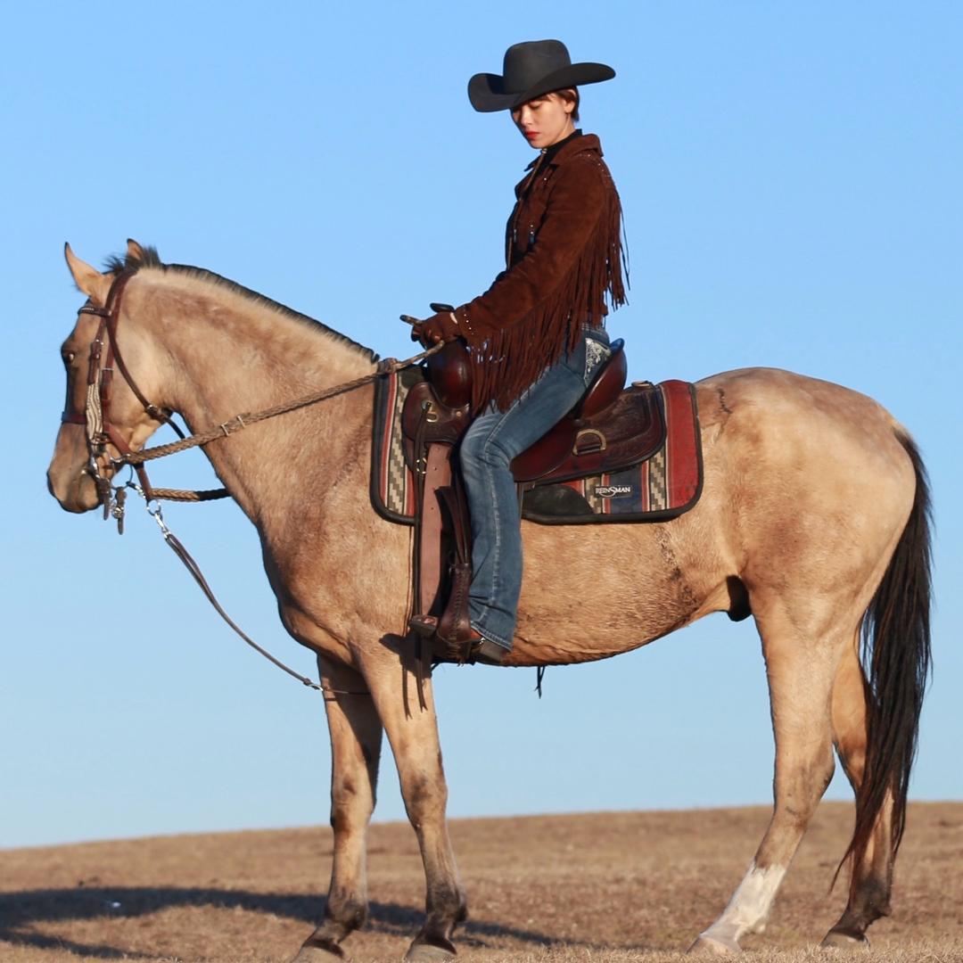 哈尔滨兄弟厨师服厂家（食神）