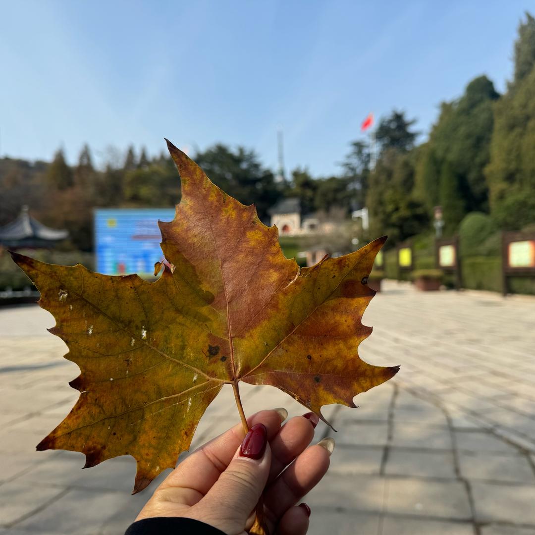 百态千味