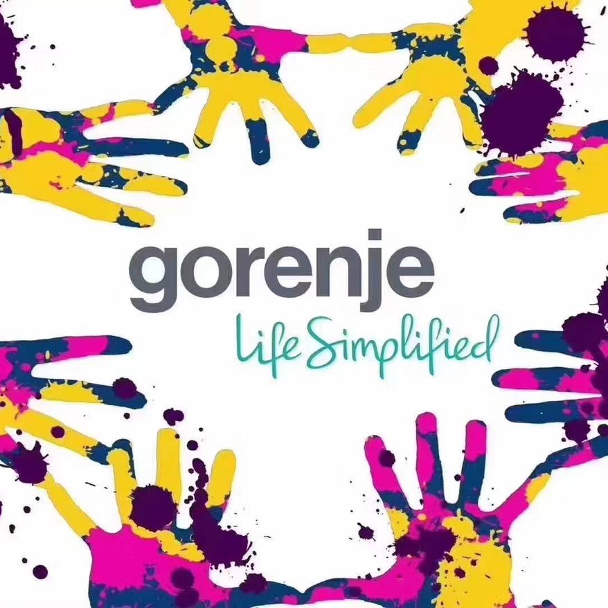 国际高端进口艺术家电gorenje