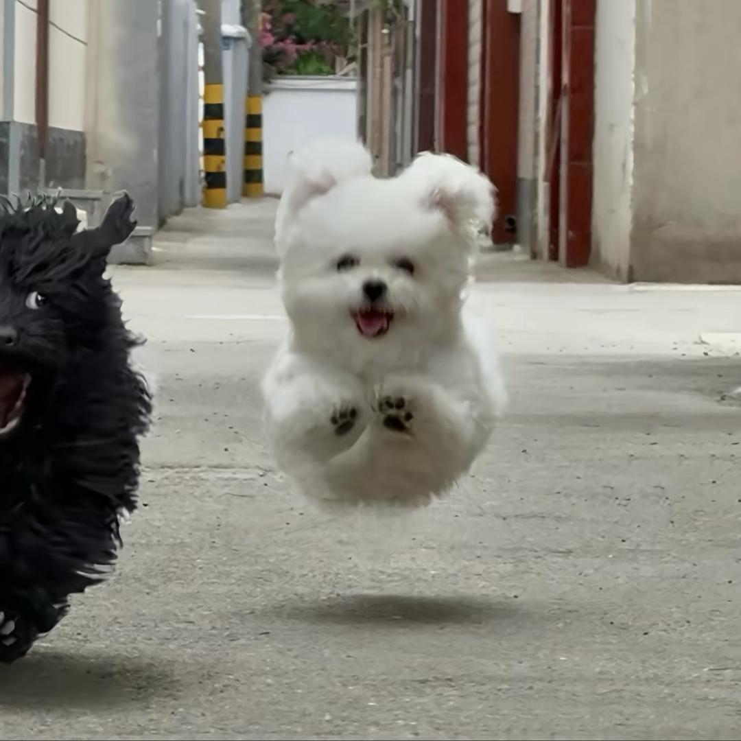 笙然^