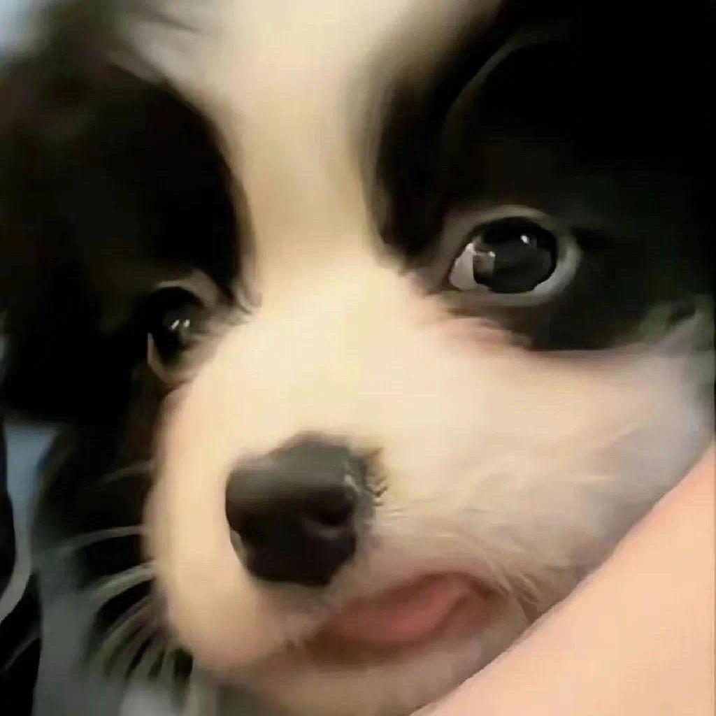 大道至简