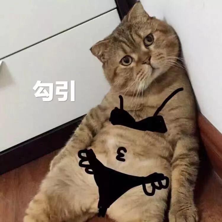 月夭（非酋圣体）