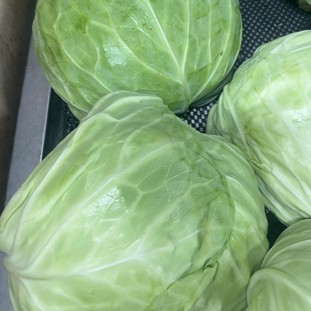 小清新