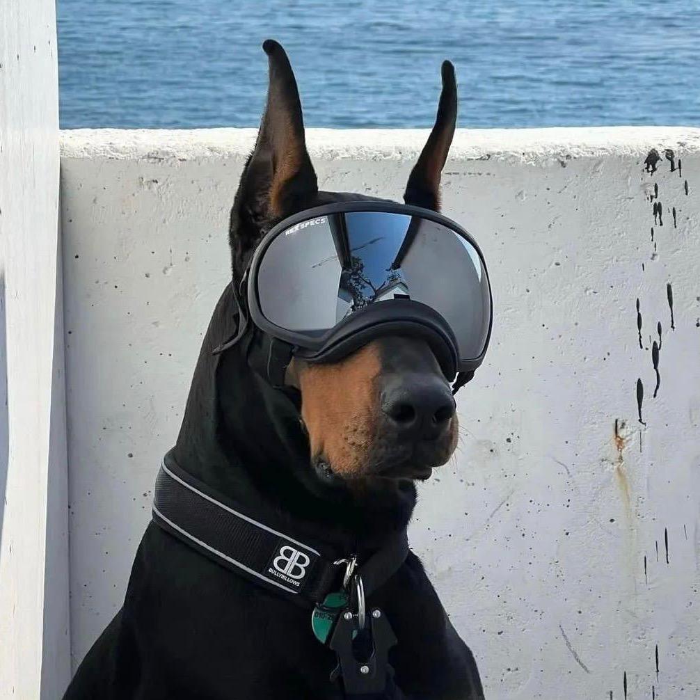 三打不浏.