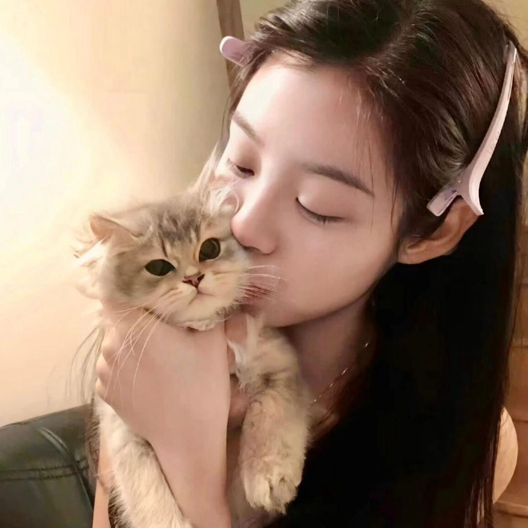 神仙姐姐🎀