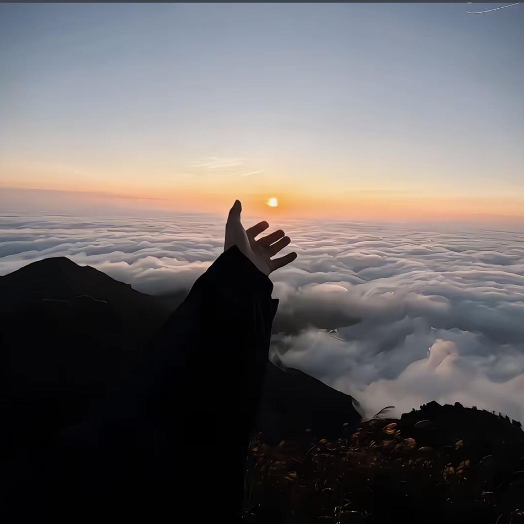 随风飘淡