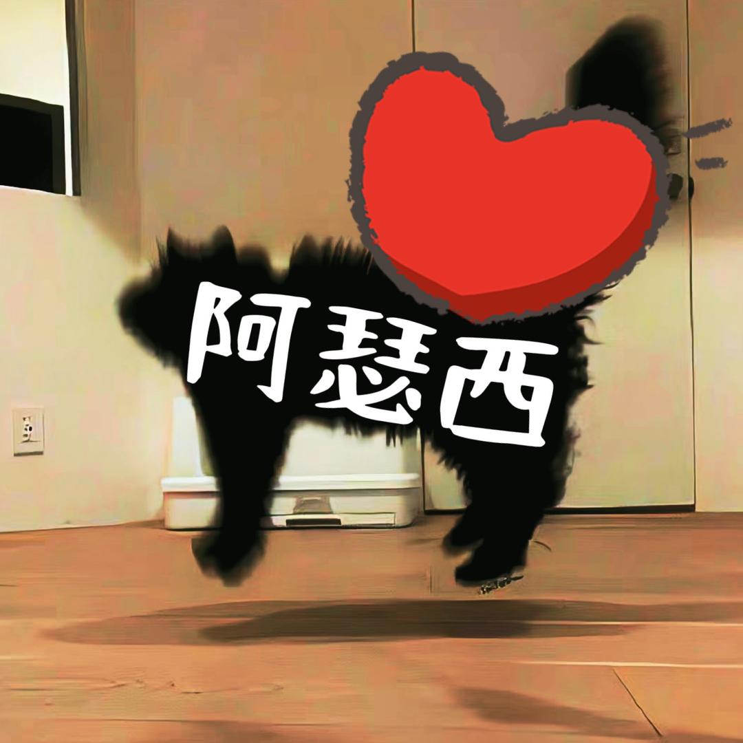 阿瑟西的宝藏捏