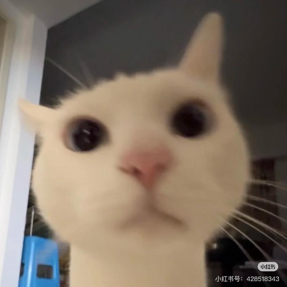7K