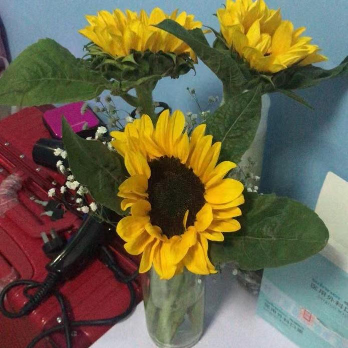 彩虹鸟绵里家纺专卖店