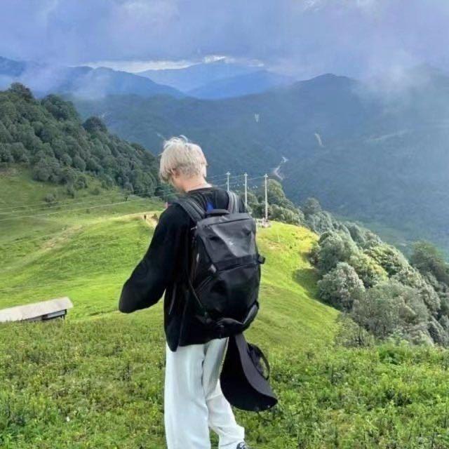 沈南辞