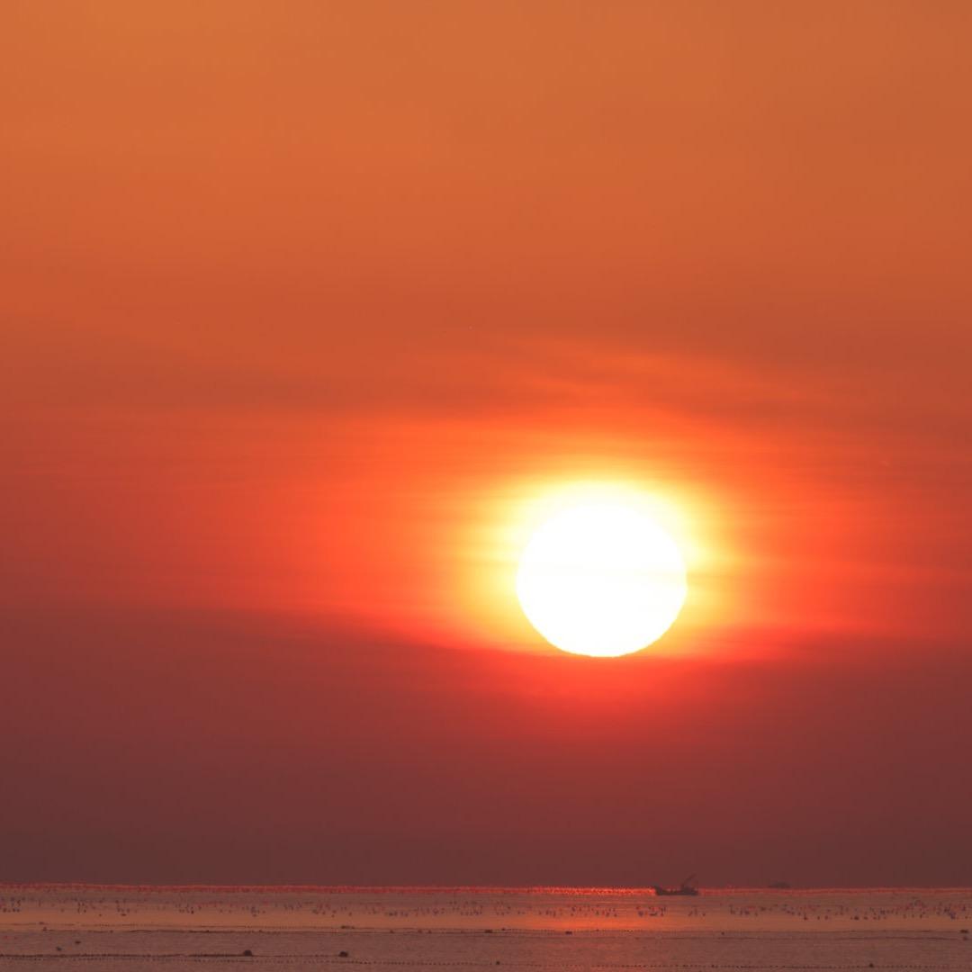 羊🐑（lgd加油版）