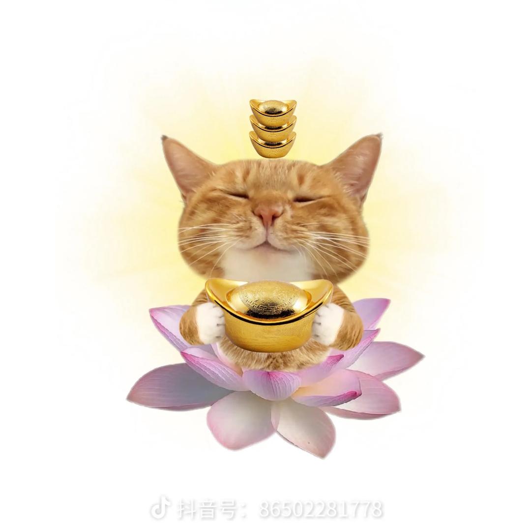 🌈酥酥荔枝花酪泥（锦鲤版）