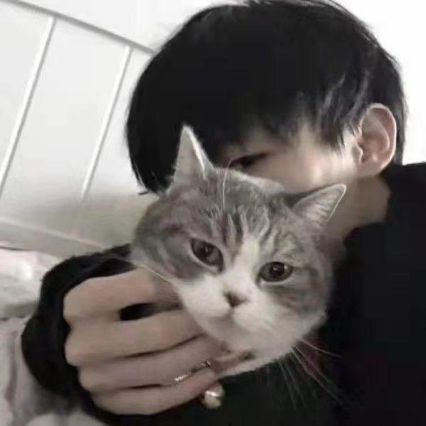 🌈凯明
