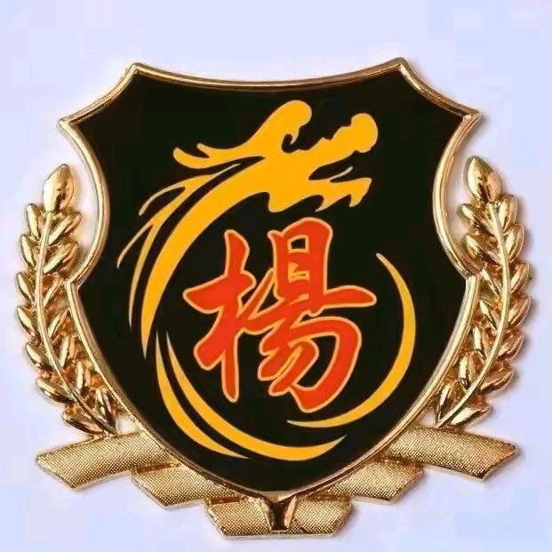 杨氏大家族