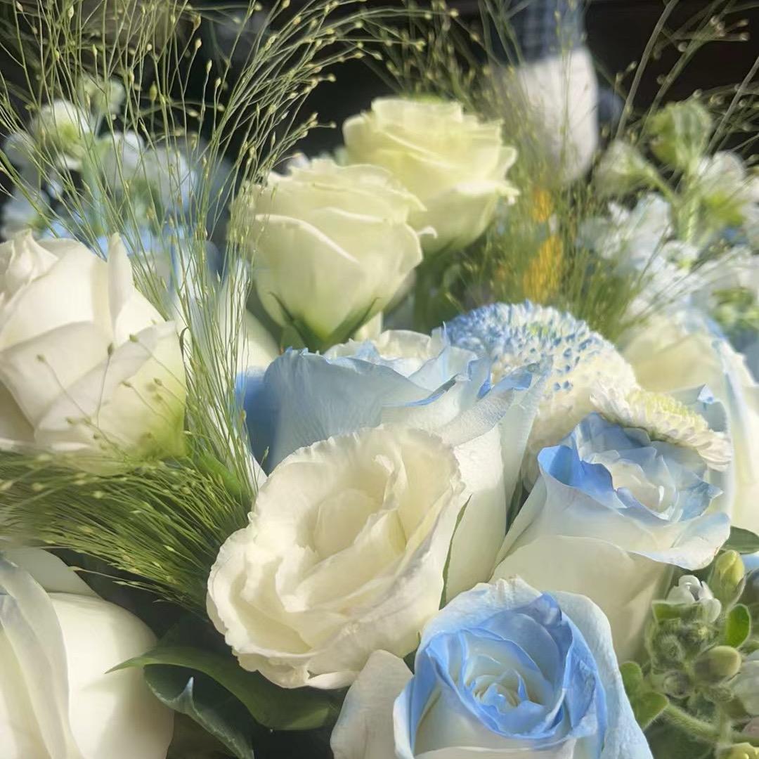 🌸🌸安然吖🌸🌸