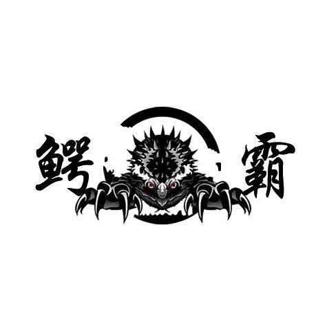 奇趣鳄霸