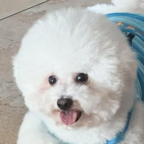 叭玖玖