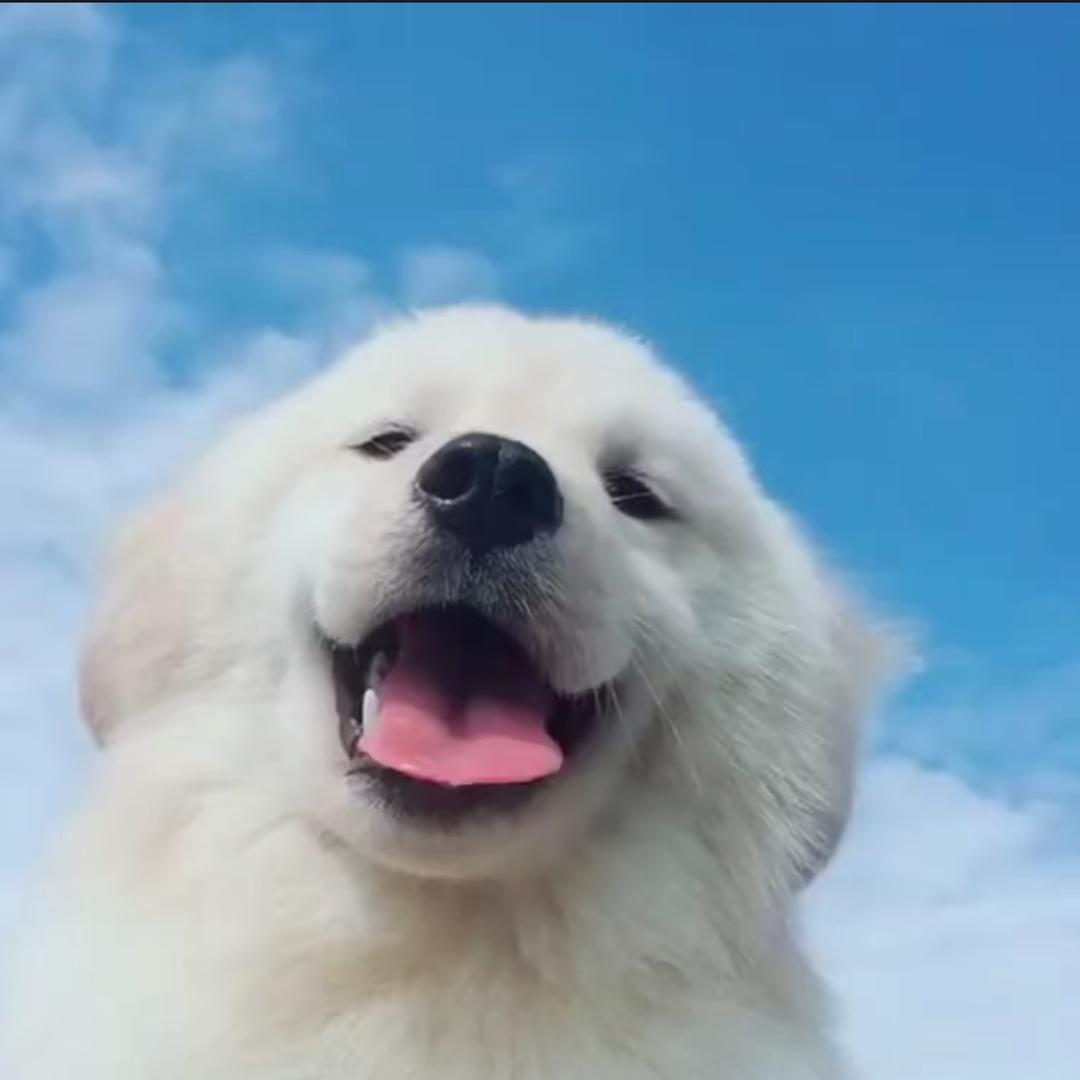 秦-