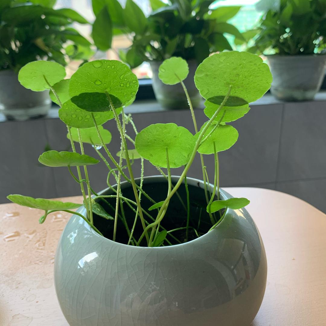 用户5954769090227秀秀