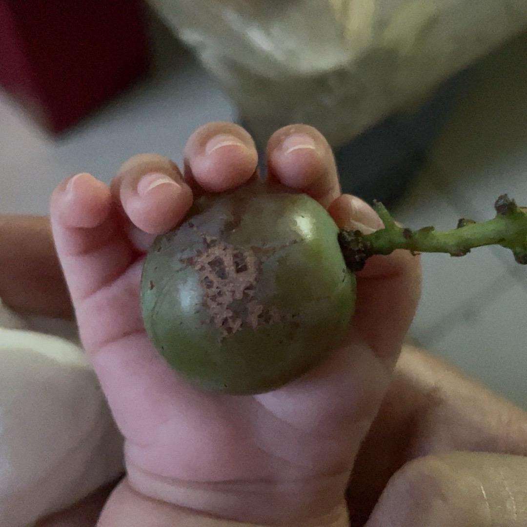前程锦绣