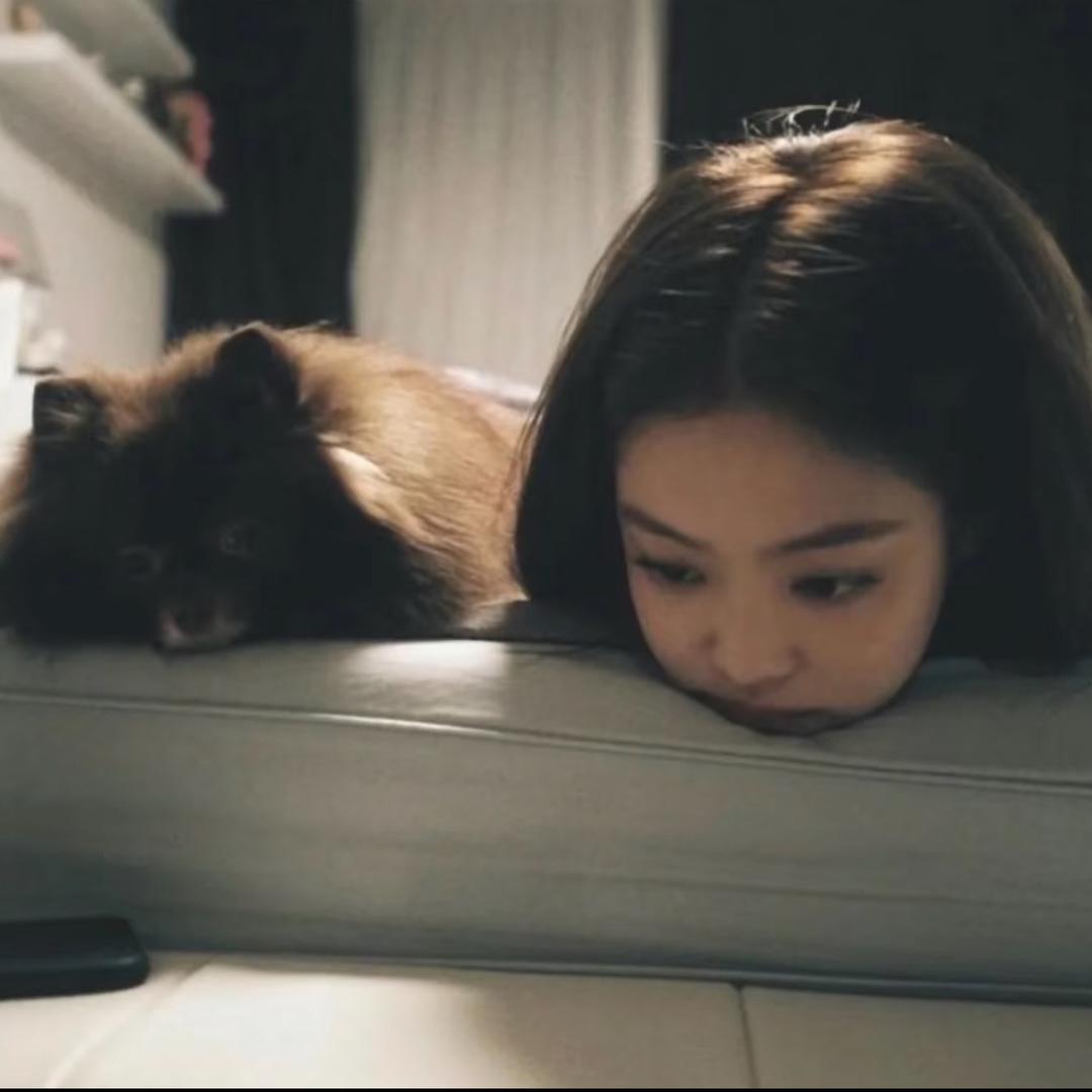 纯爱战神小杨💤