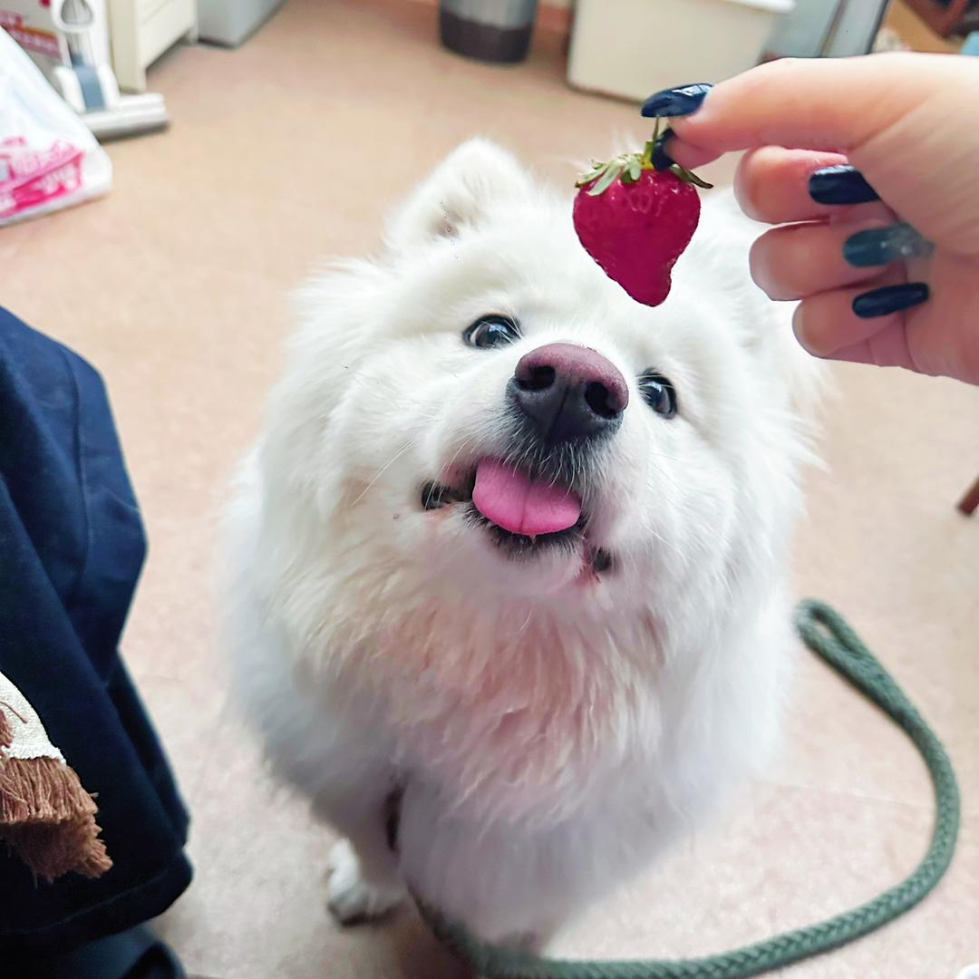 是三三吖～