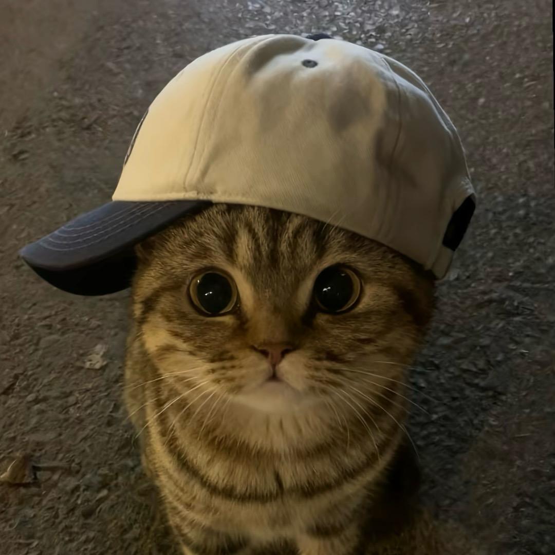 休眠期