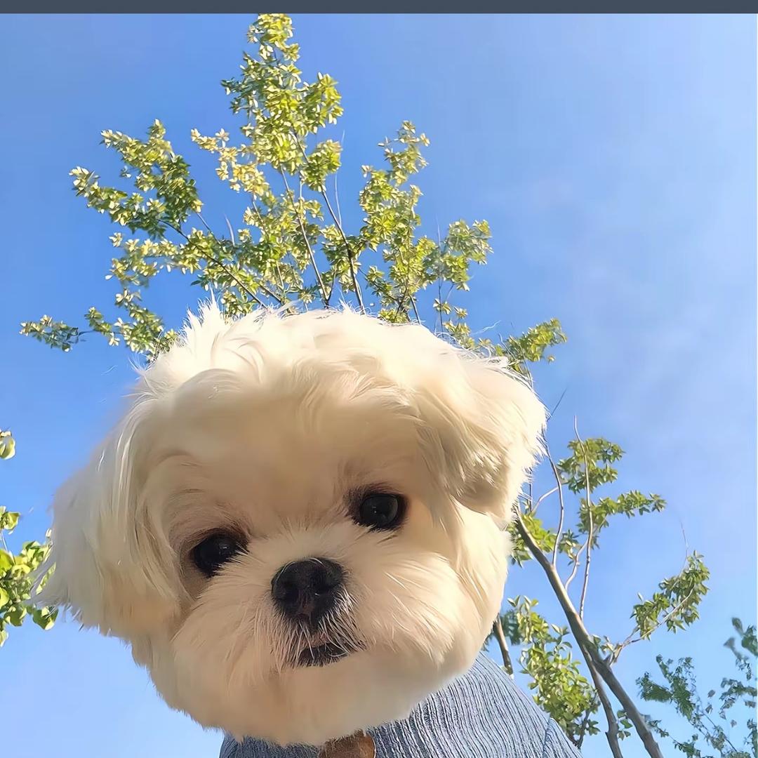 说车老阿姨💕
