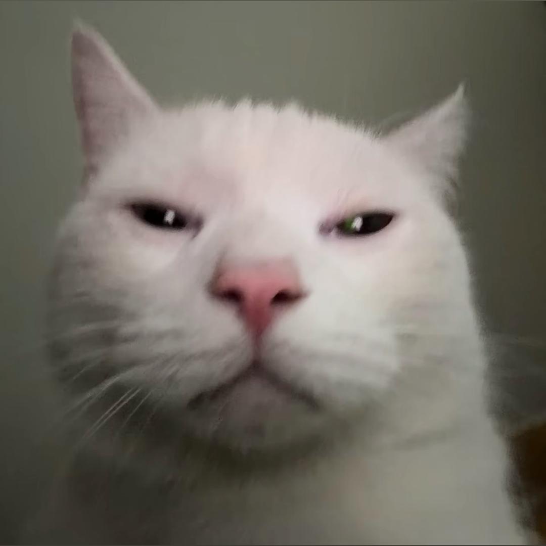 谶