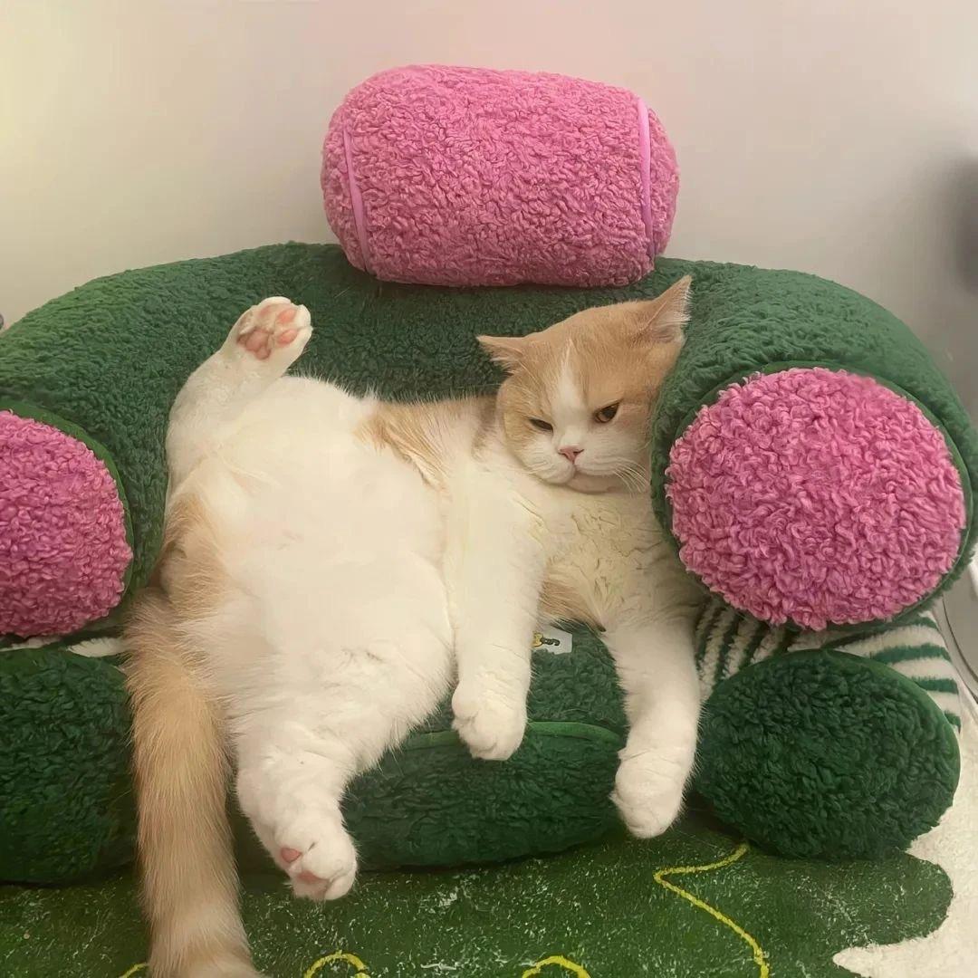 阿夕