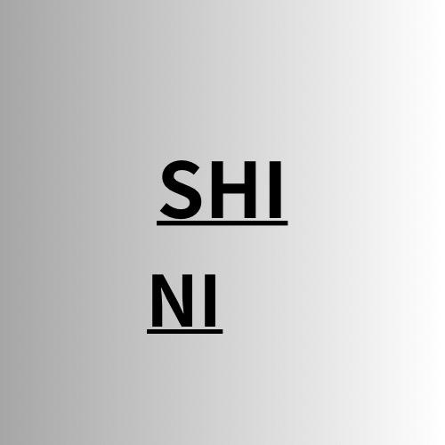 SHINI饰品