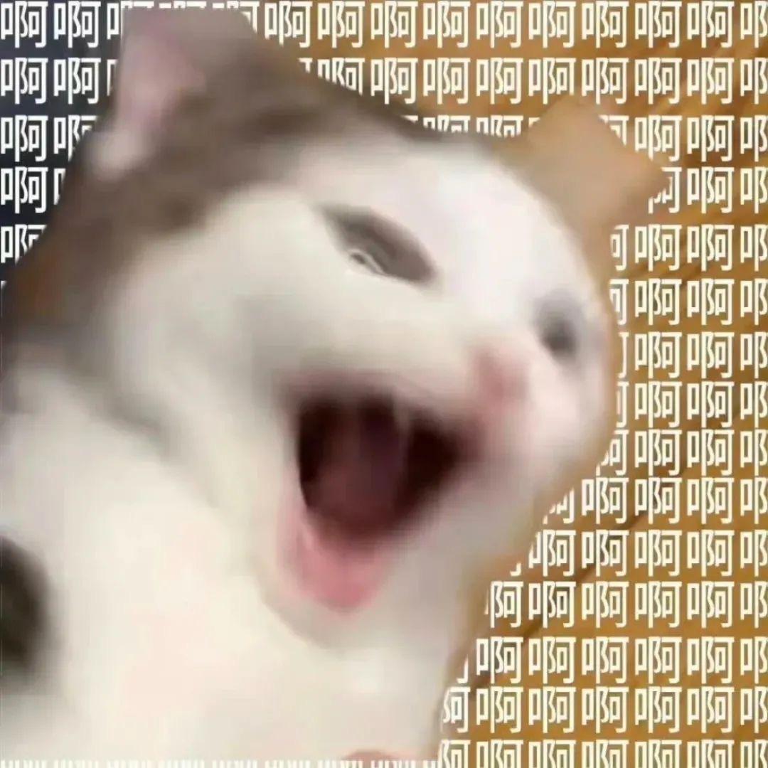 只是个账号