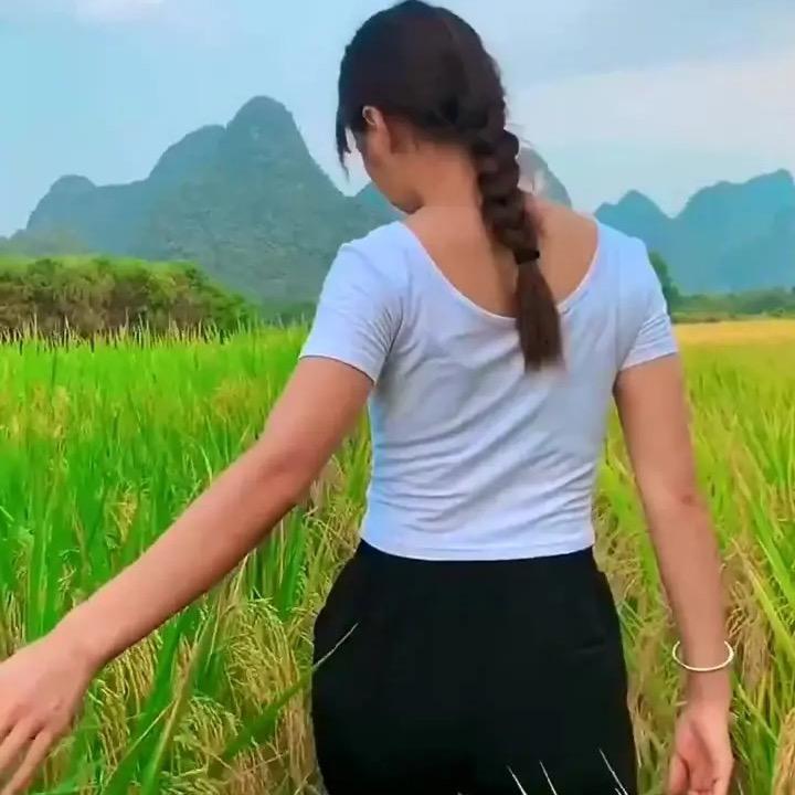 乡村宝儿