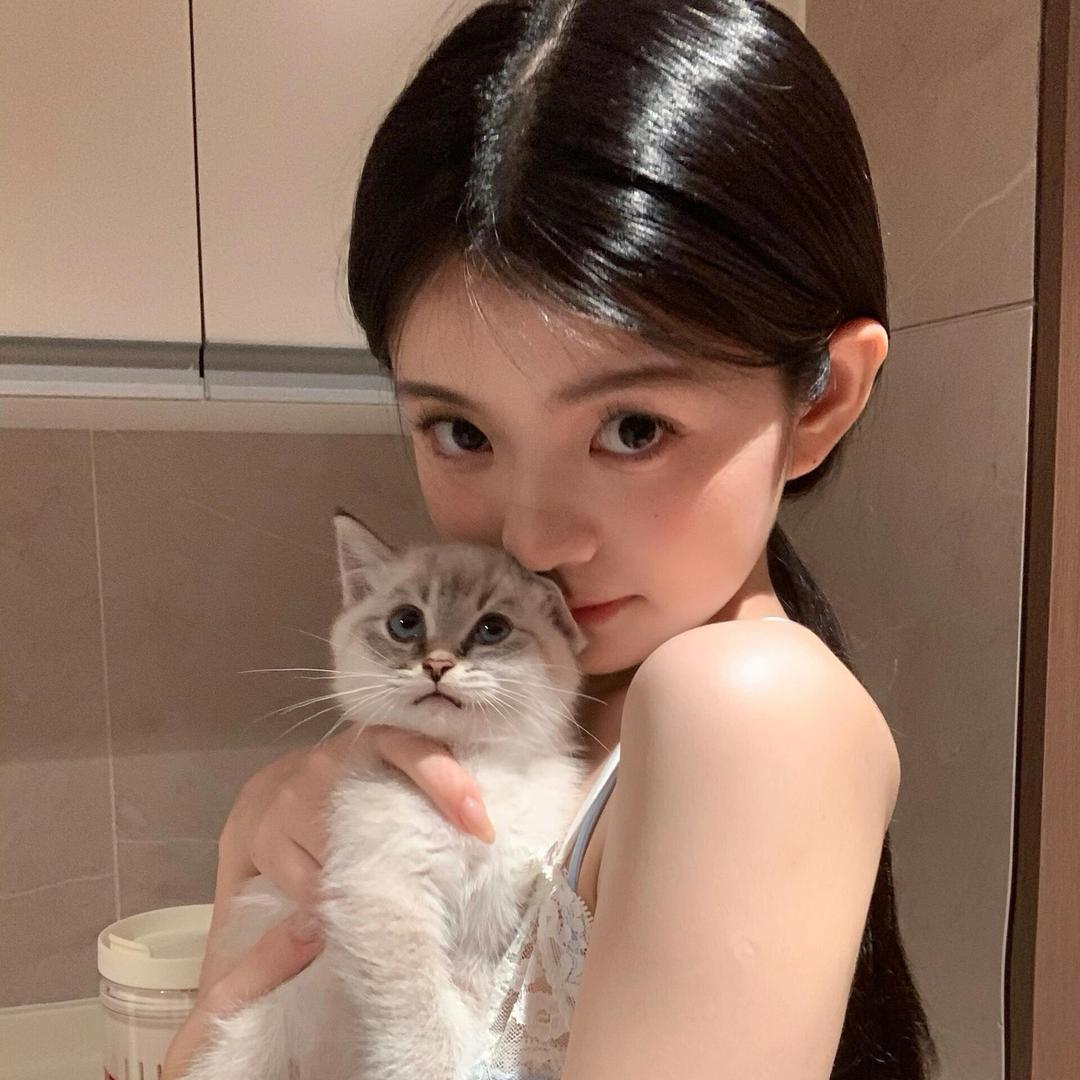 一只富贵🐱