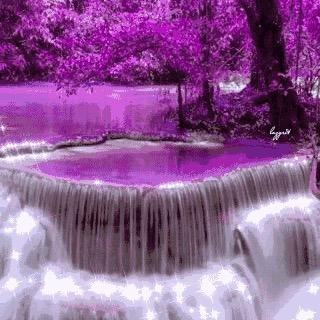 我就是我别名藏獒