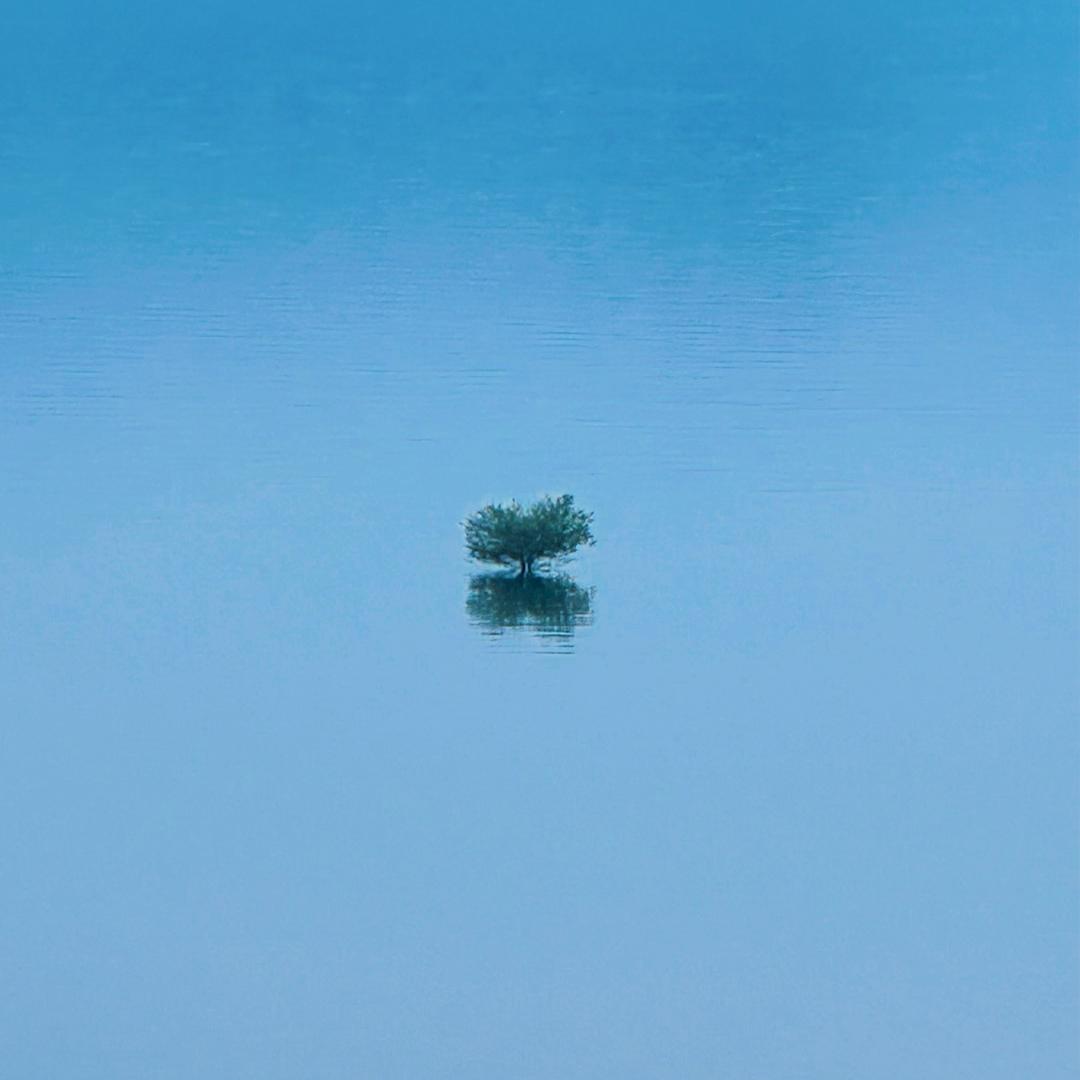 在路上