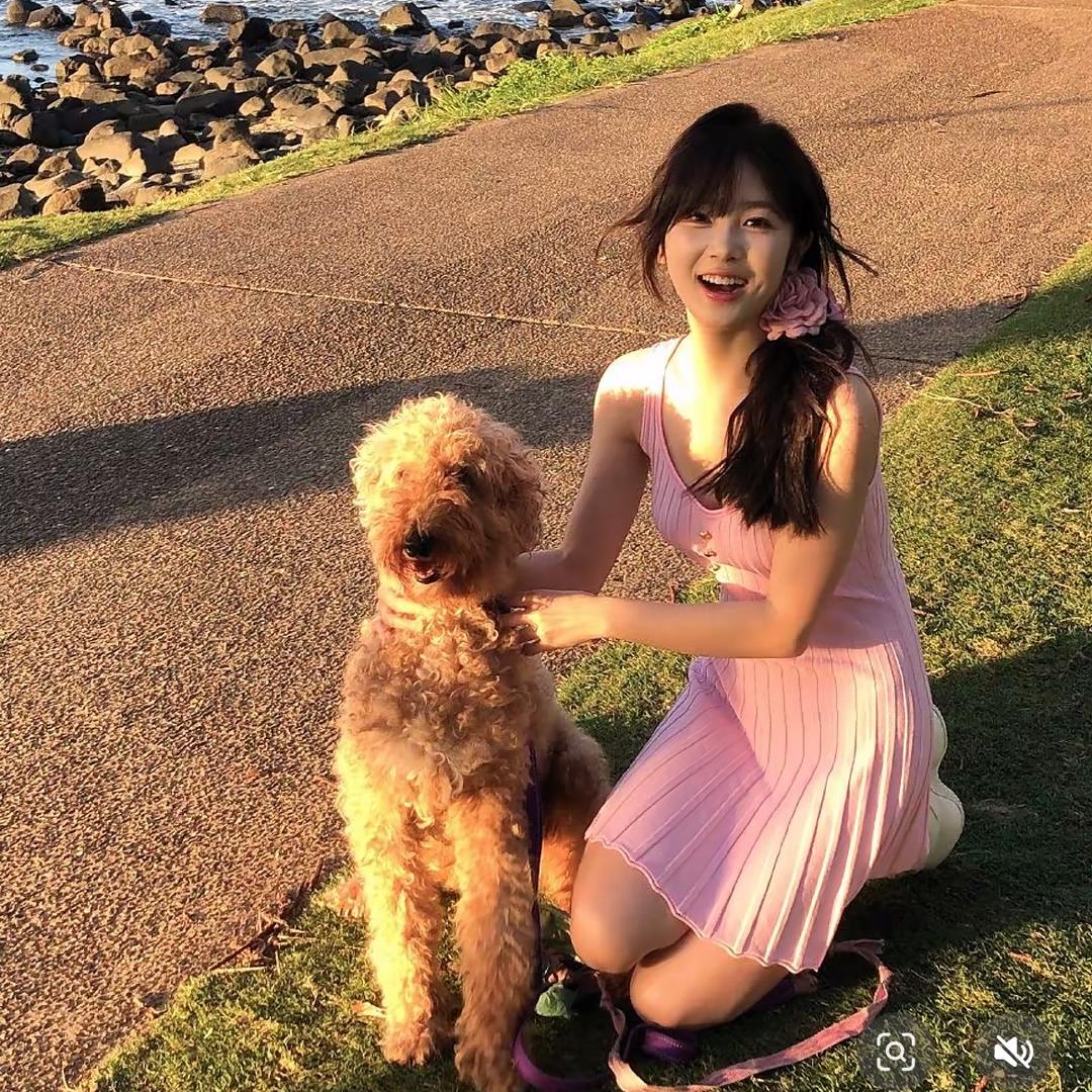 小飘日记/