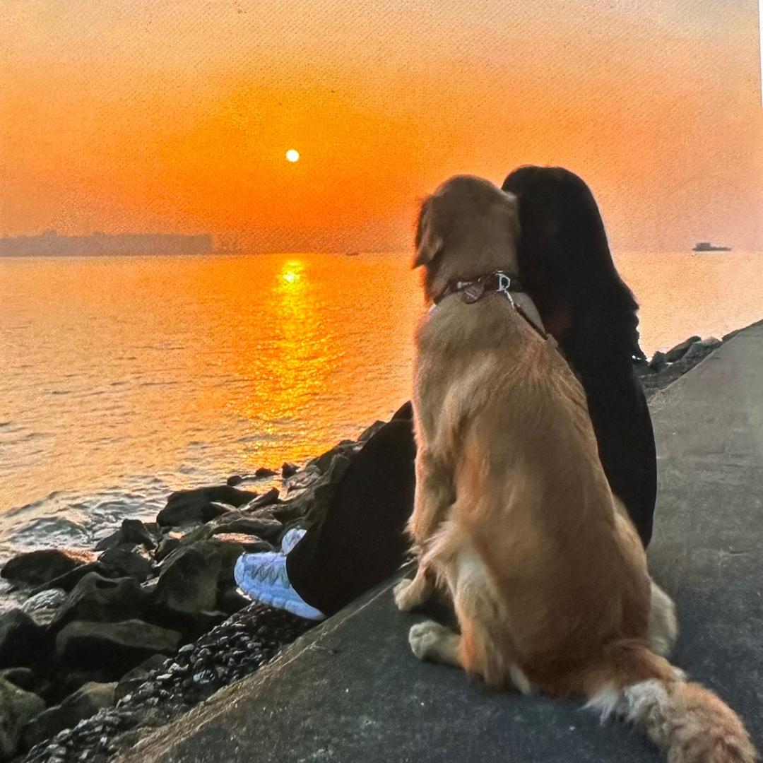 小月儿-离异（励志带娃）