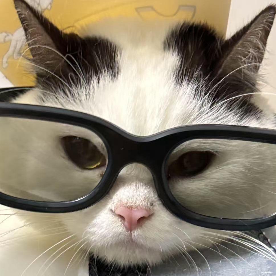 🌈🌈🌈缘缘缘缘