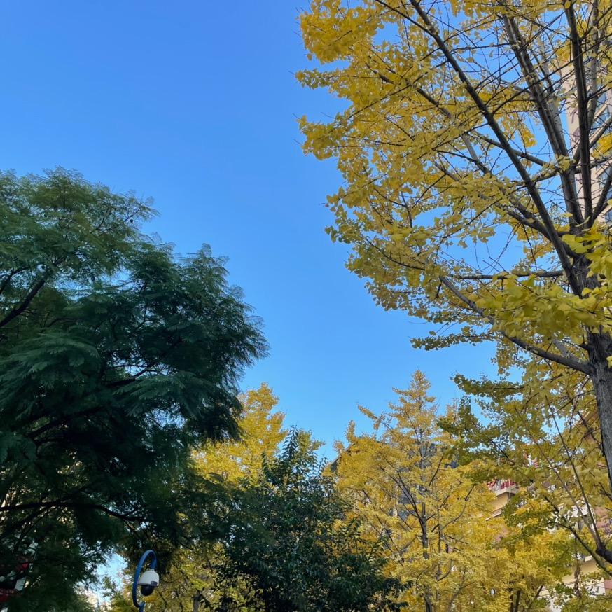 学历提升小吕老师