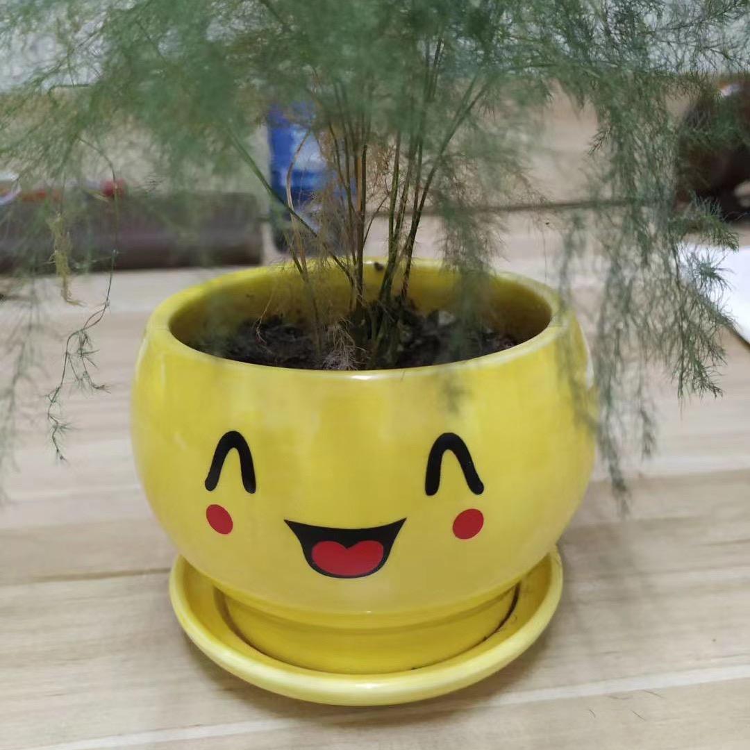 风景