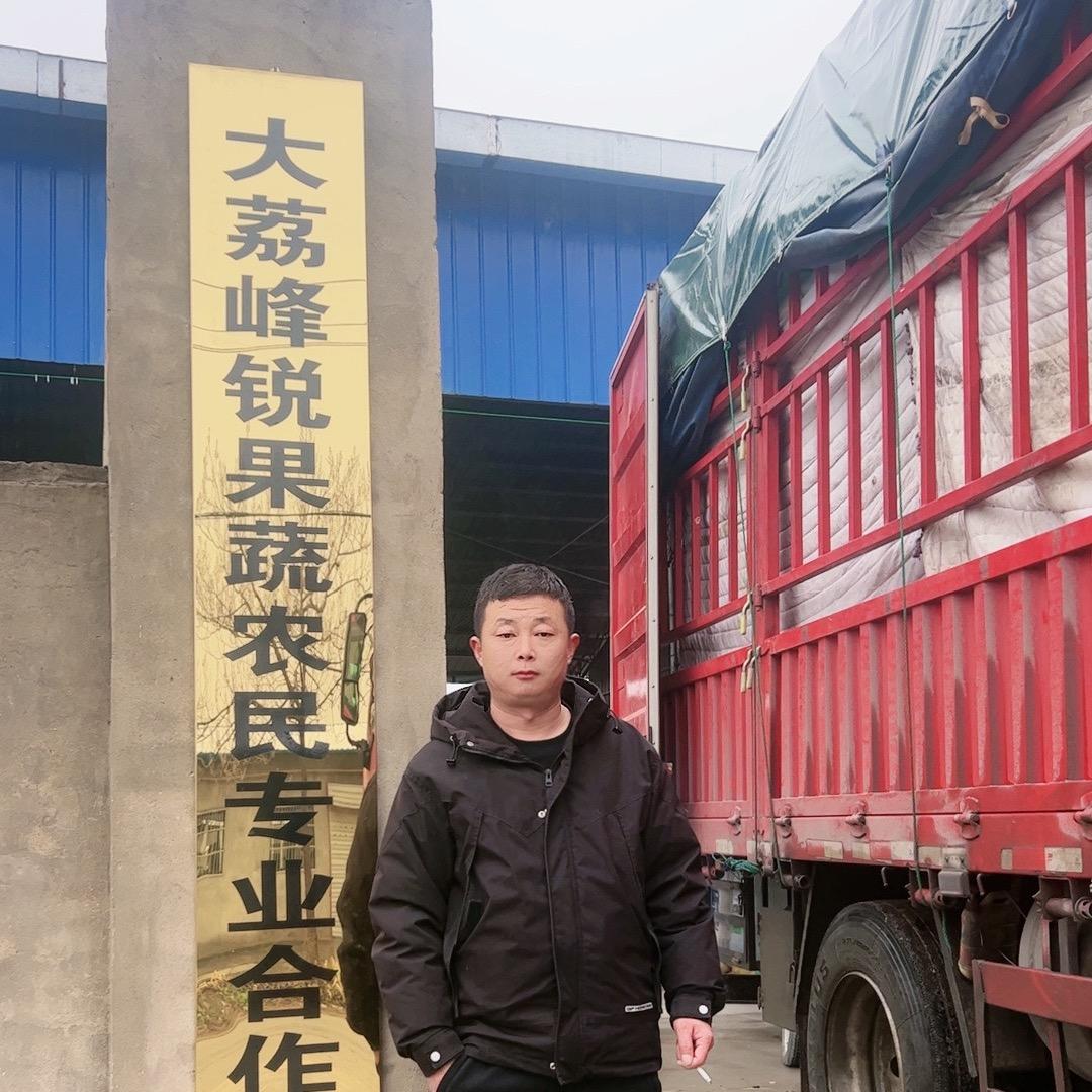 刘峰锐