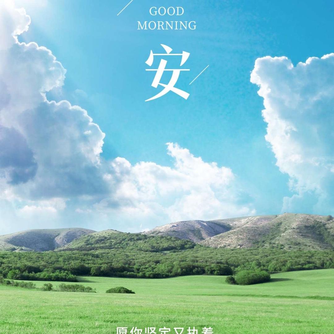 楊